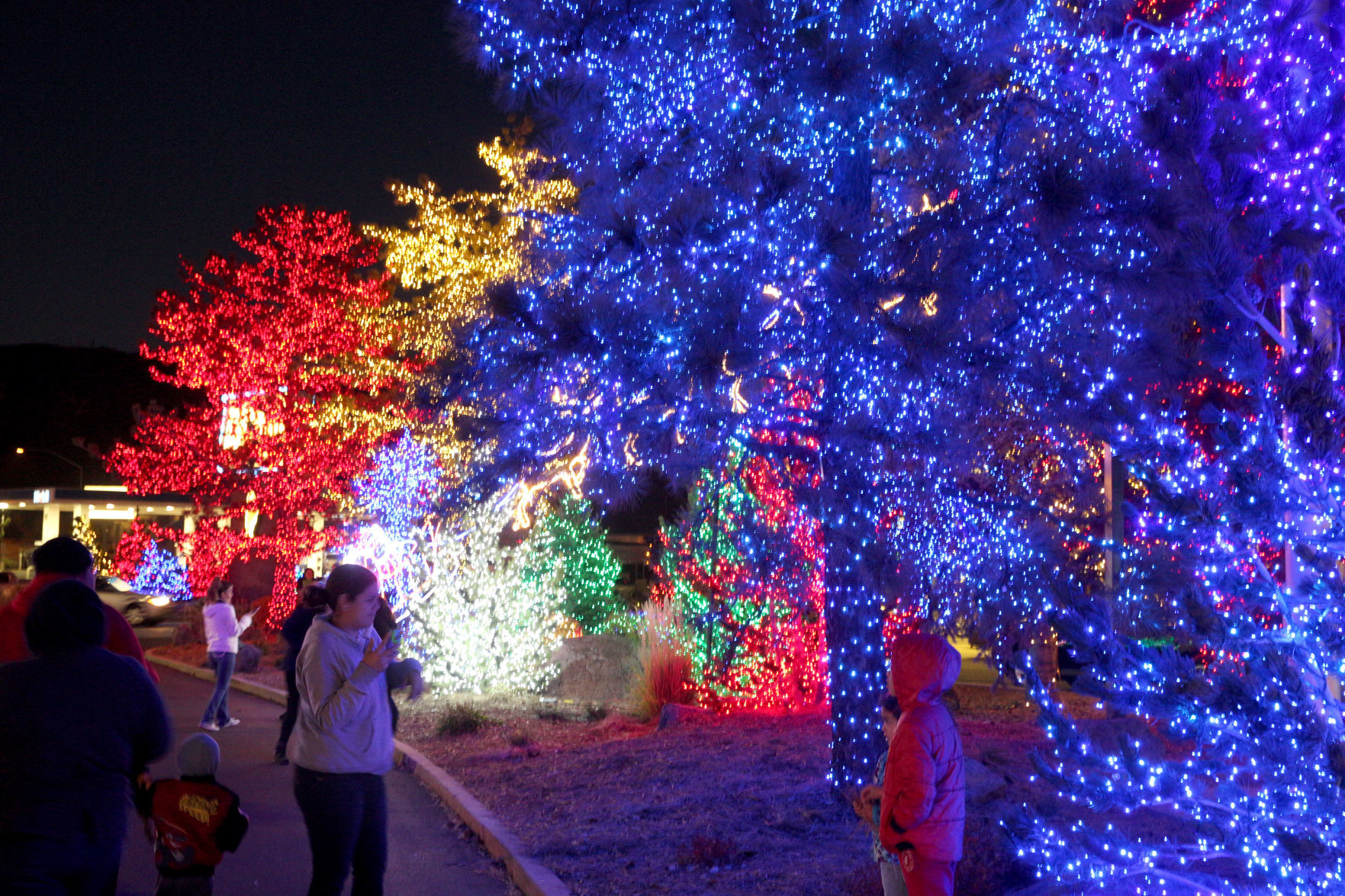 LIGHTING UP THE SEASON